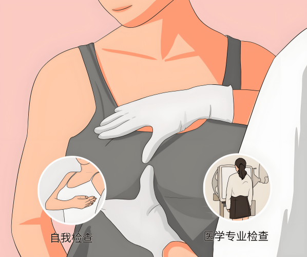乳房檢查順序